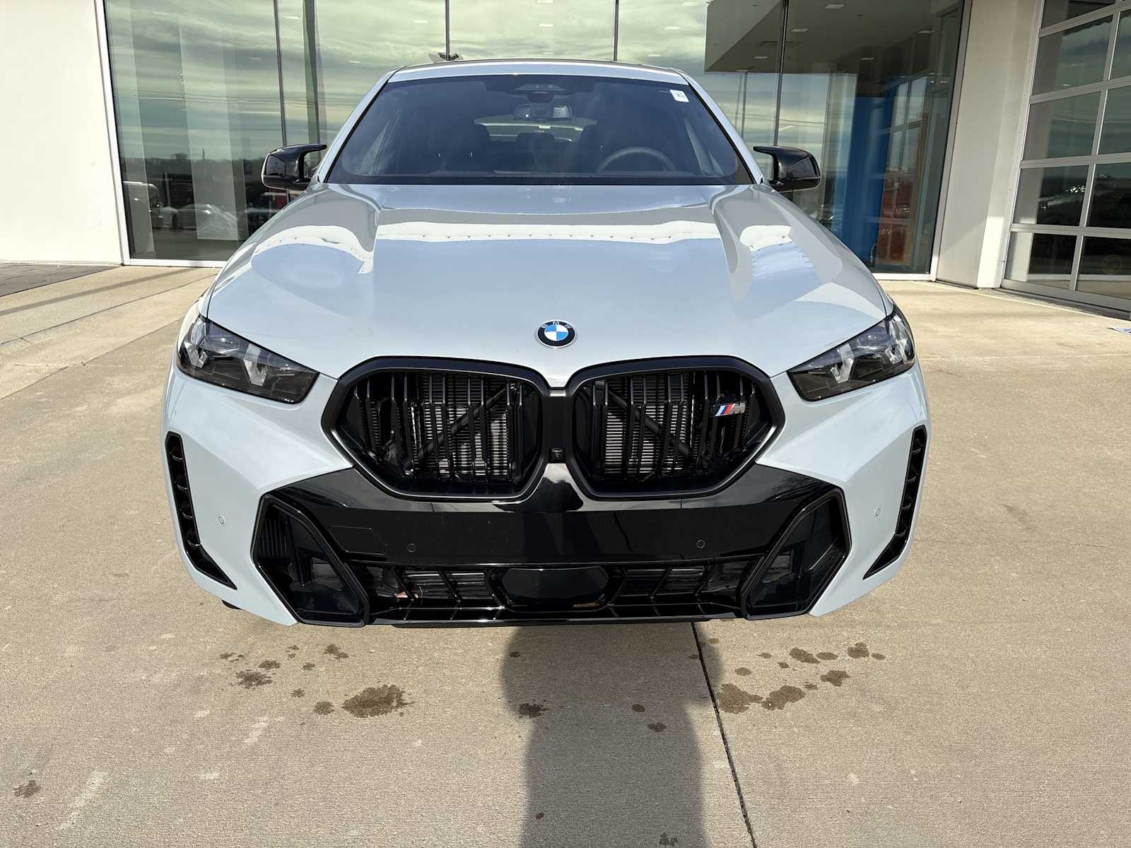 Thumbnail: 2026 BMW X6 - 17