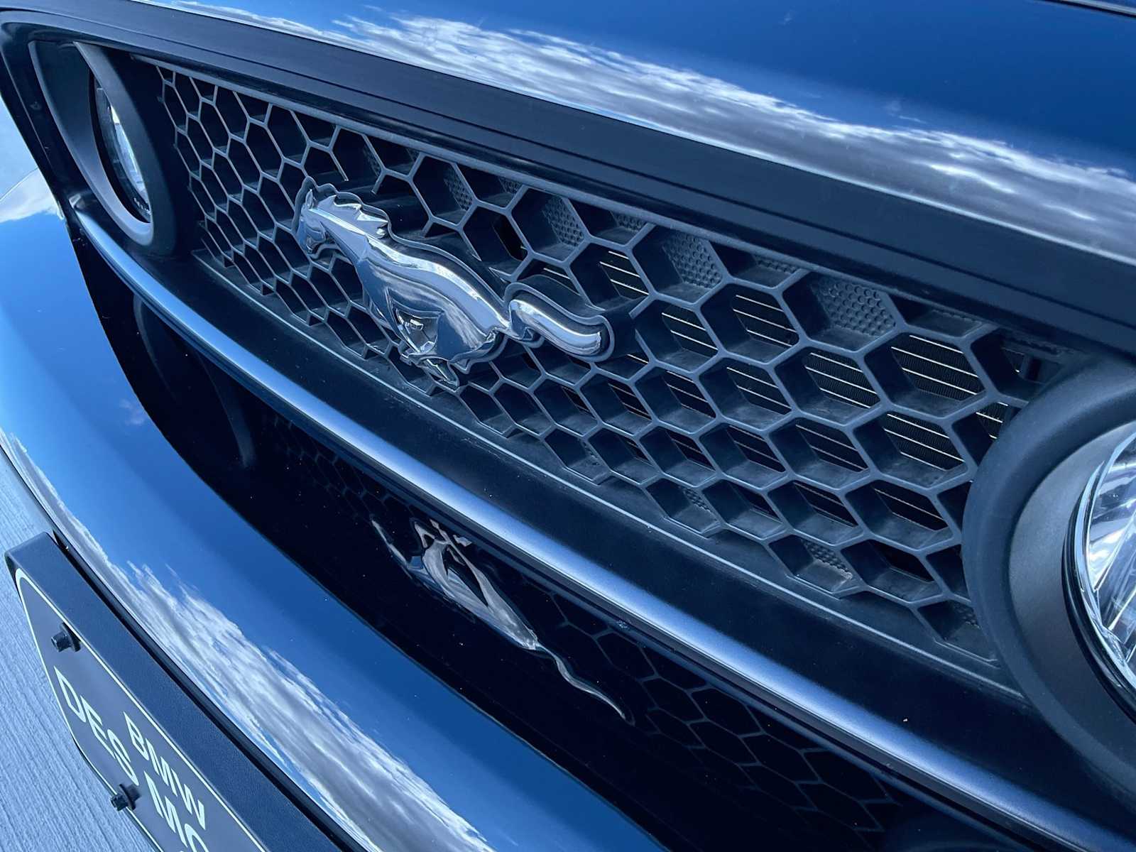 Thumbnail: 2014 Ford Mustang - 12