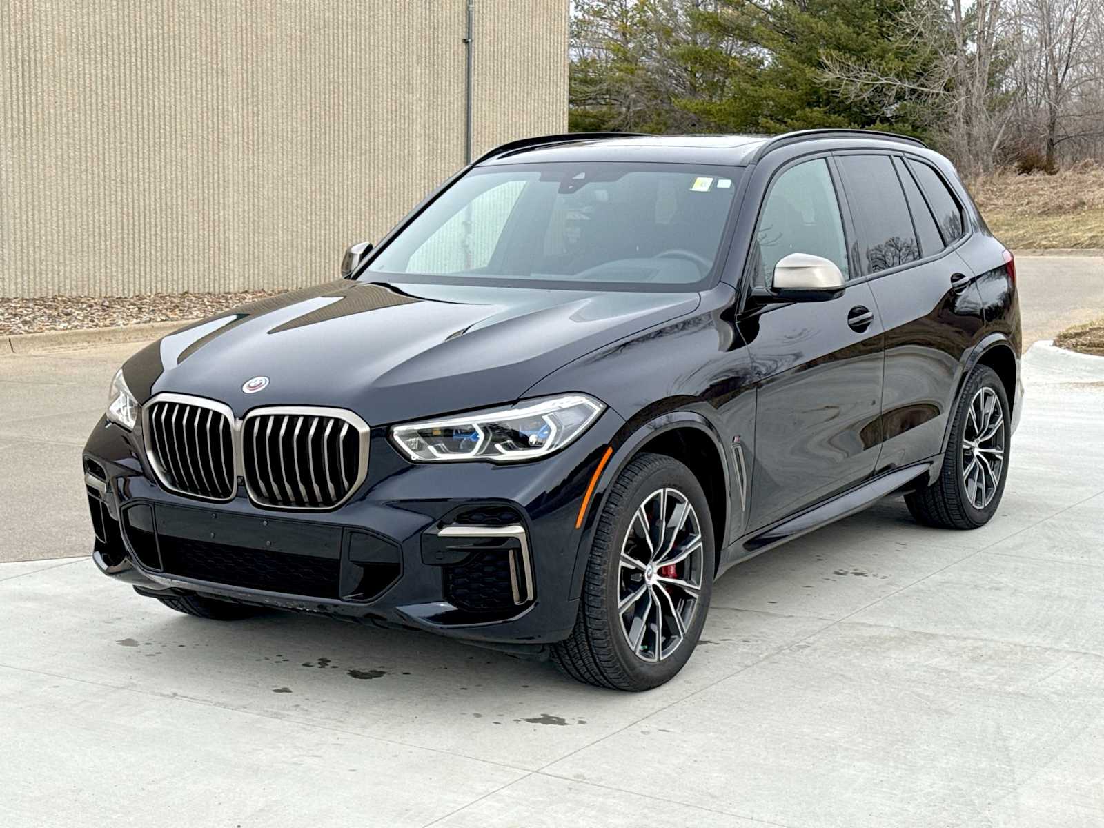 Thumbnail: 2023 BMW X5 - 1
