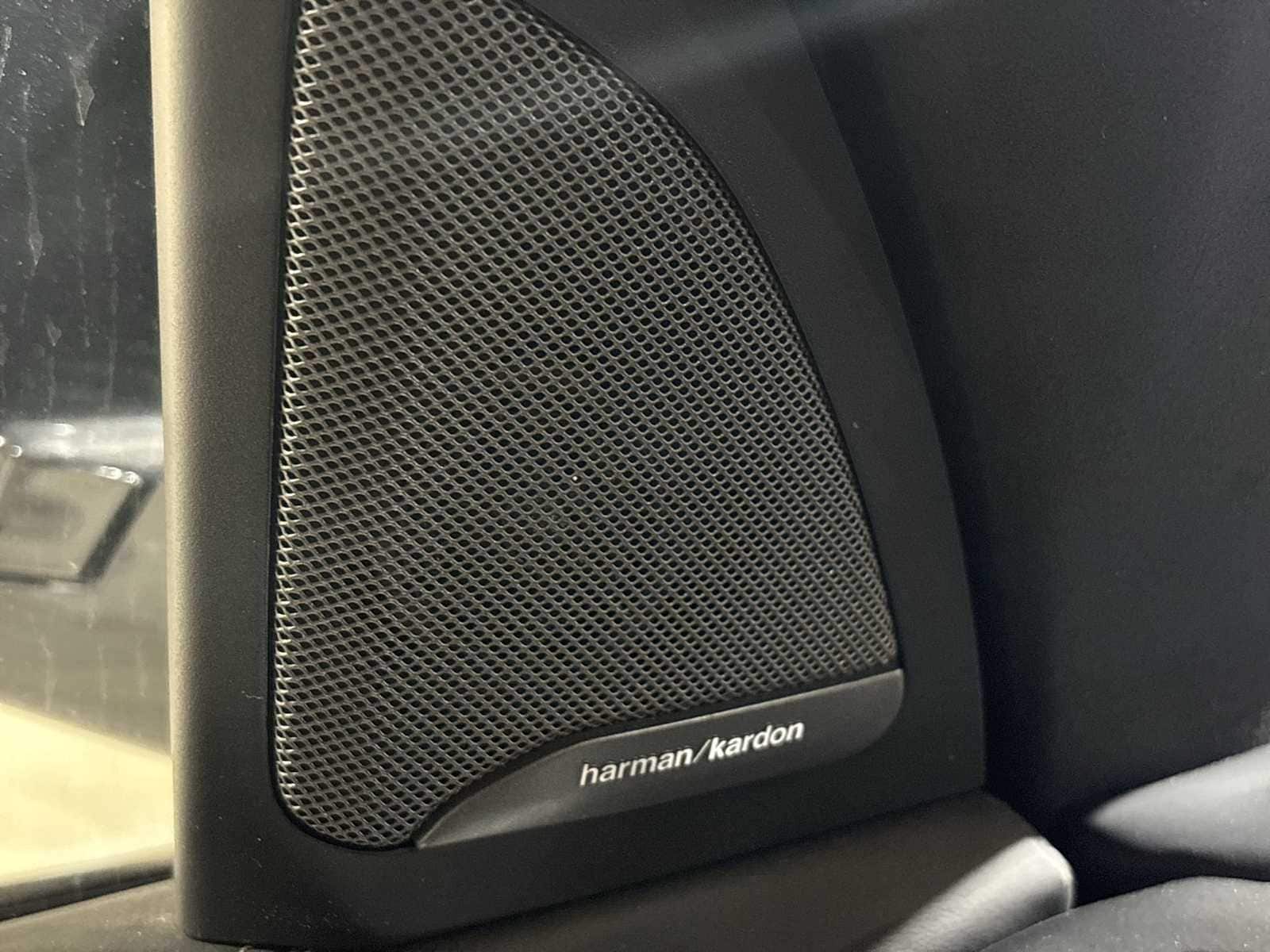 Thumbnail: 2024 BMW X7 - 31