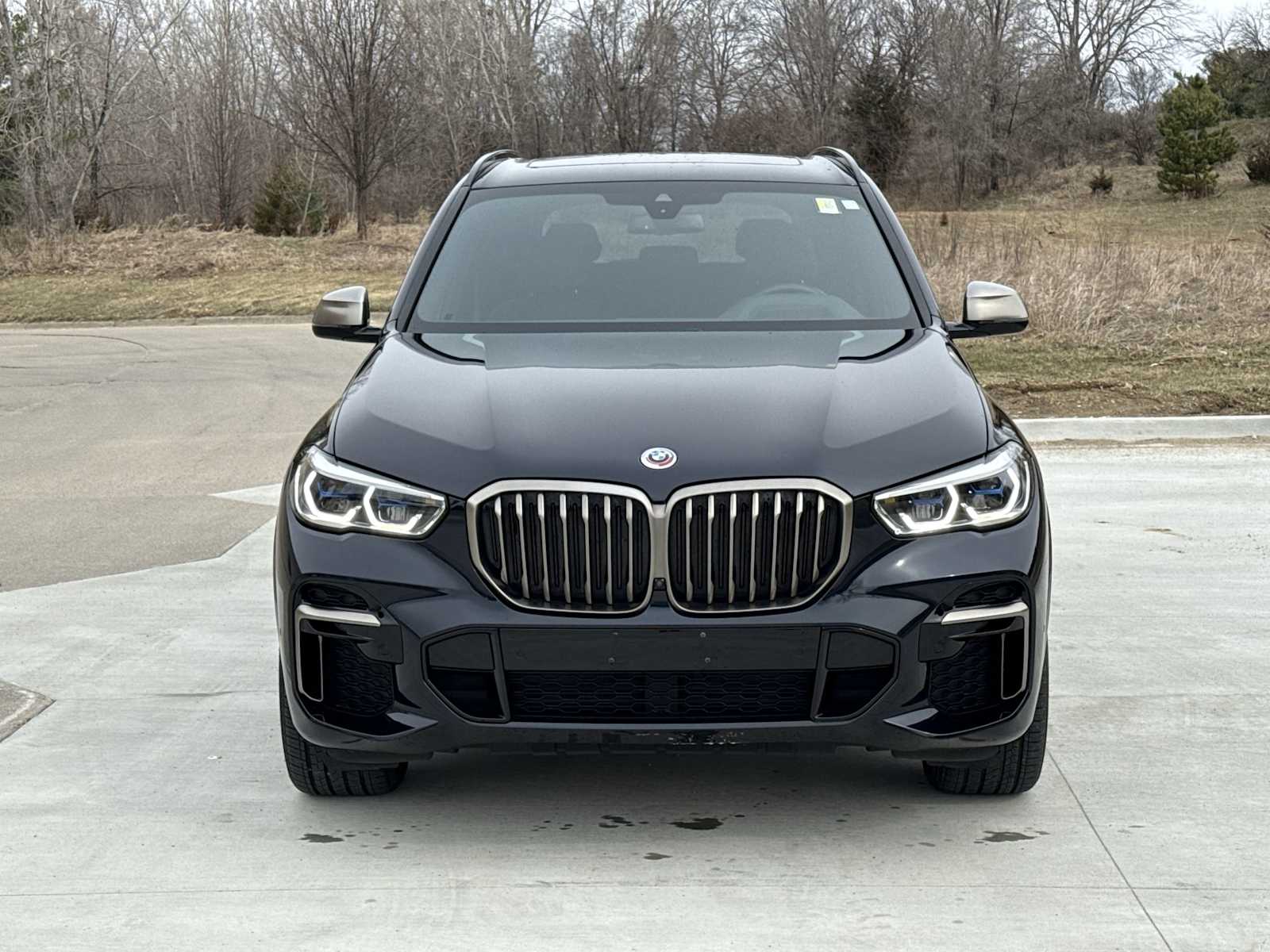 Thumbnail: 2023 BMW X5 - 3