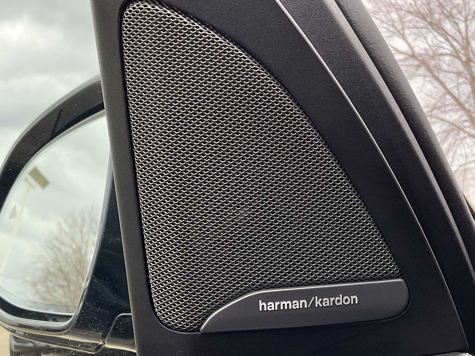 Thumbnail: 2024 BMW X7 - 32