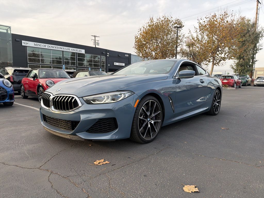 2019 BMW 8 Series M850i's photo
