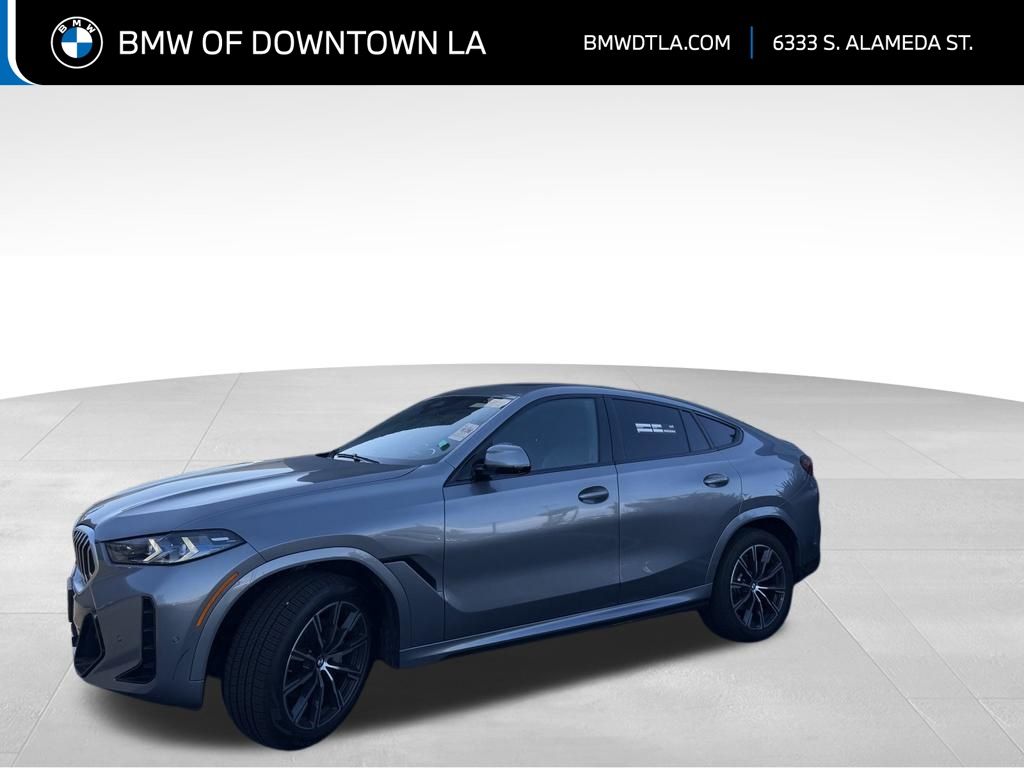 2024 BMW X6