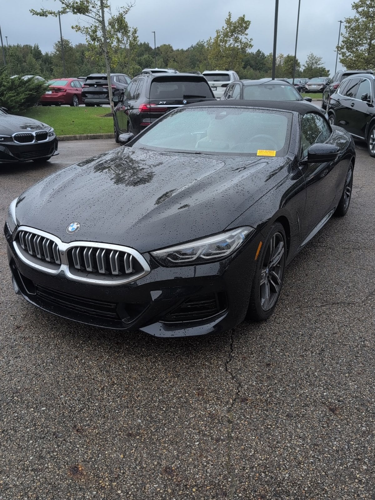 2024 BMW 8 Series