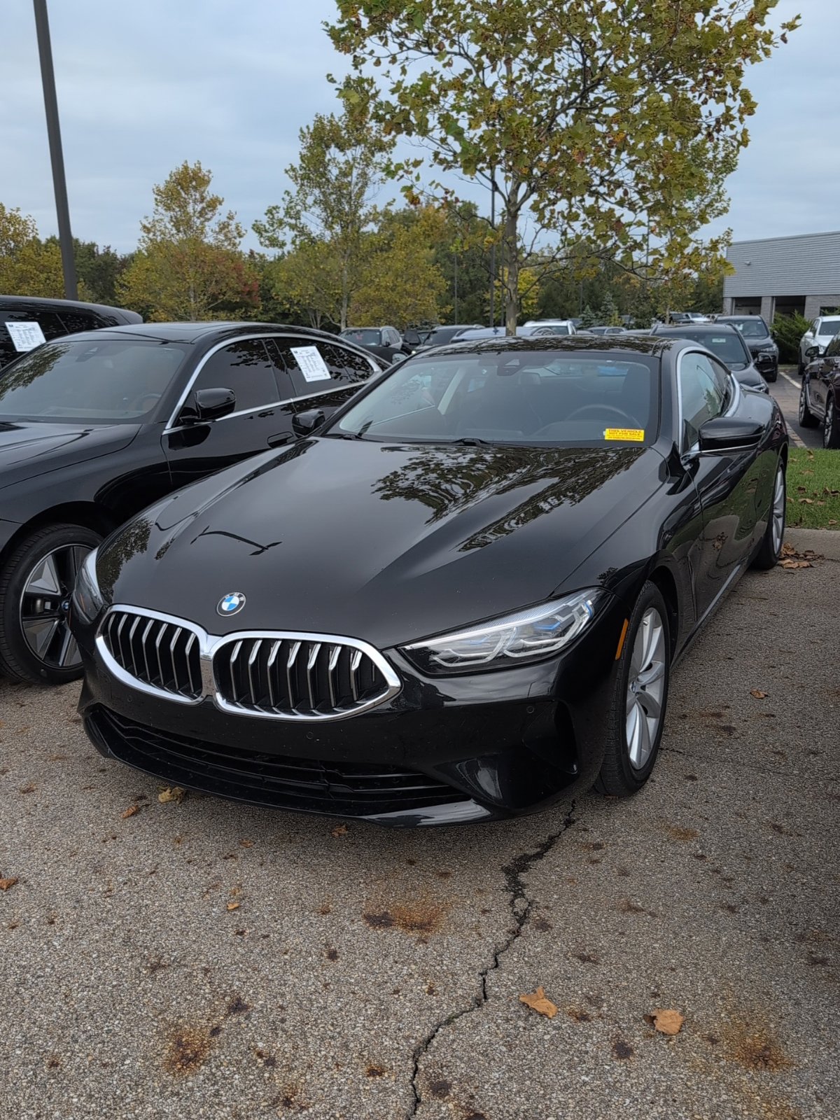 2020 BMW 8 Series