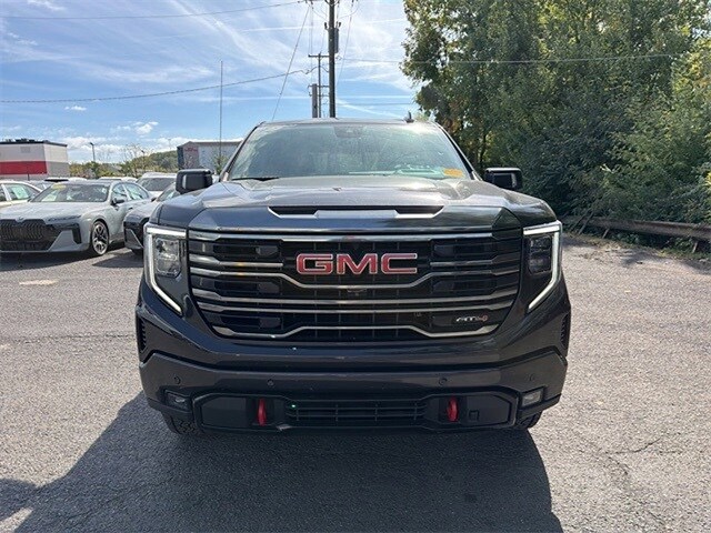 2022 Gmc Sierra 1500 AT4 photo 2