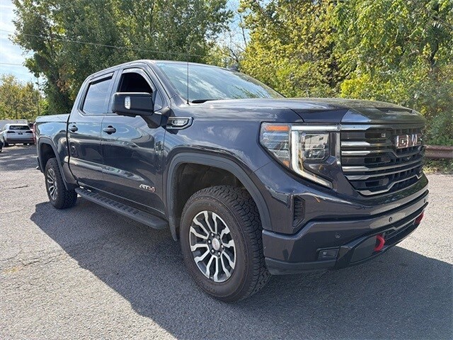 2022 Gmc Sierra 1500 AT4 photo 3
