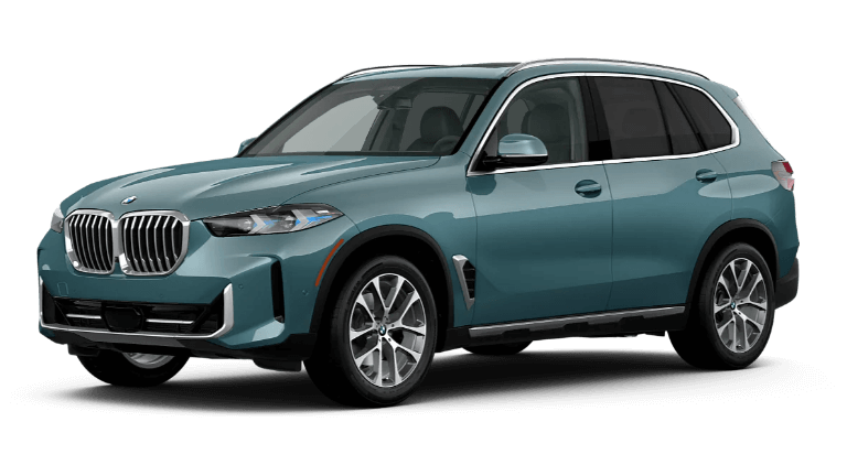 2025 BMW X5 sDrive40i Exterior - Blue Ridge Mountain Metallic