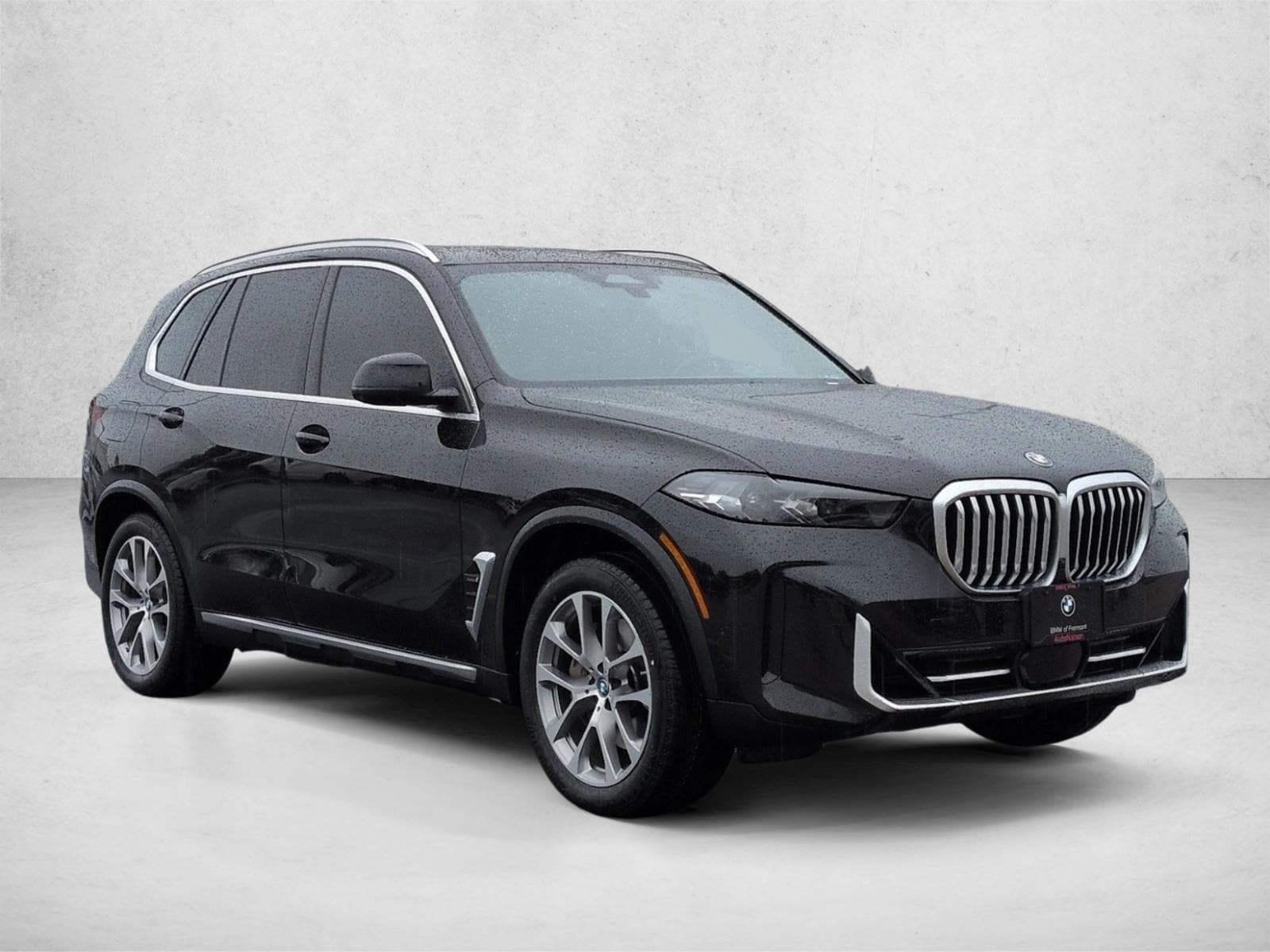 2024 BMW X5 PHEV xDrive50e photo 2