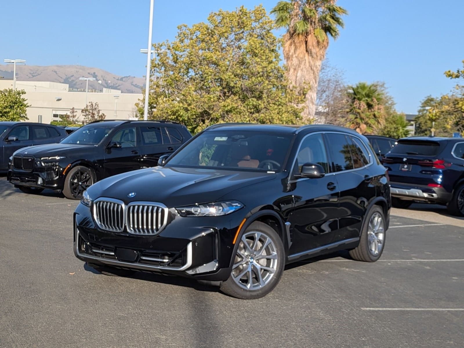 2026 BMW X5