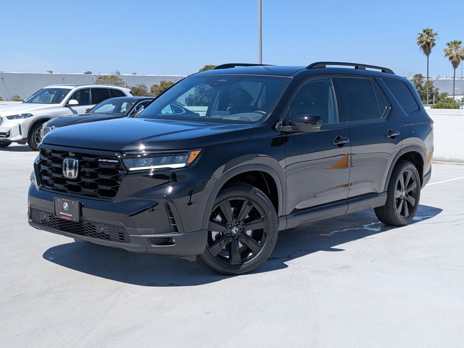 2025 Honda Pilot Black Edition AWD's photo