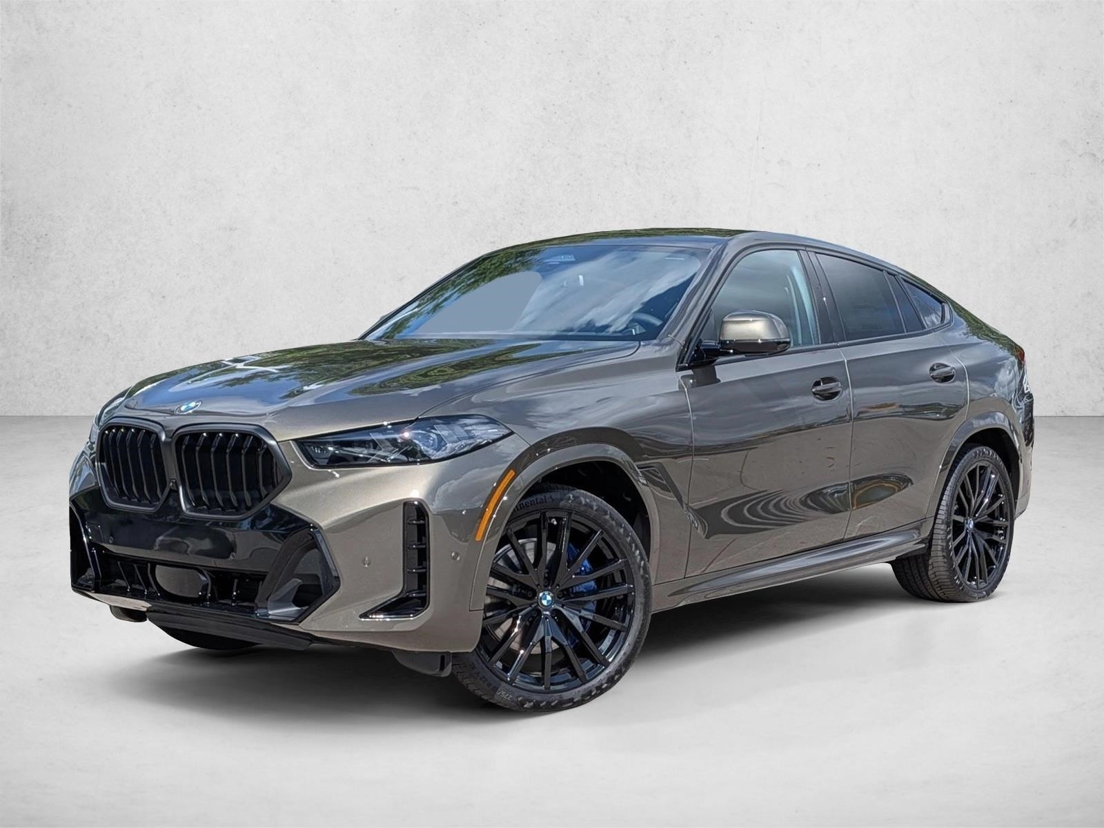 2026 BMW X6