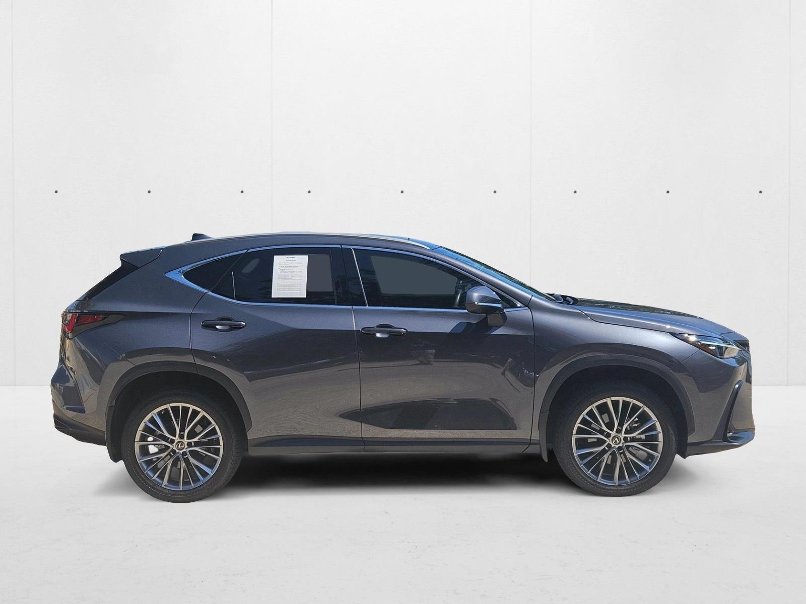 2023 Lexus NX 350 Luxury photo 4