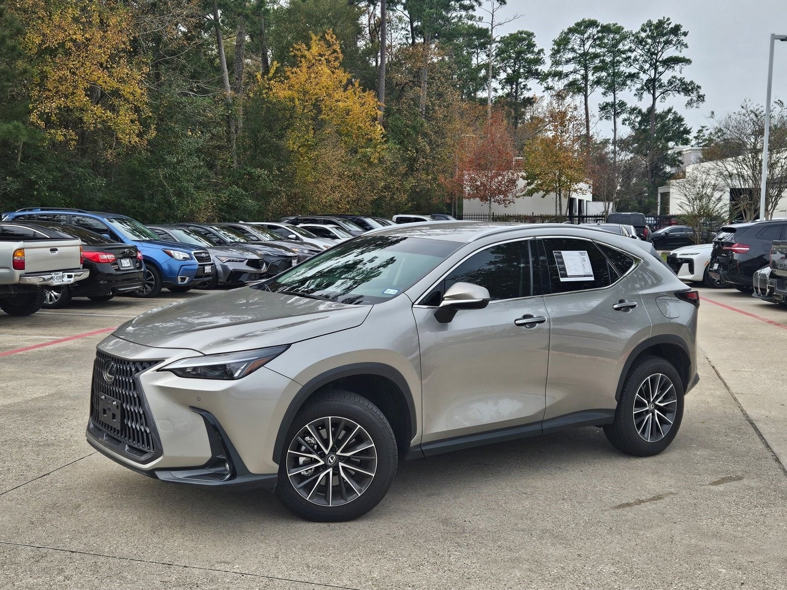 2025 Lexus NX 250's photo
