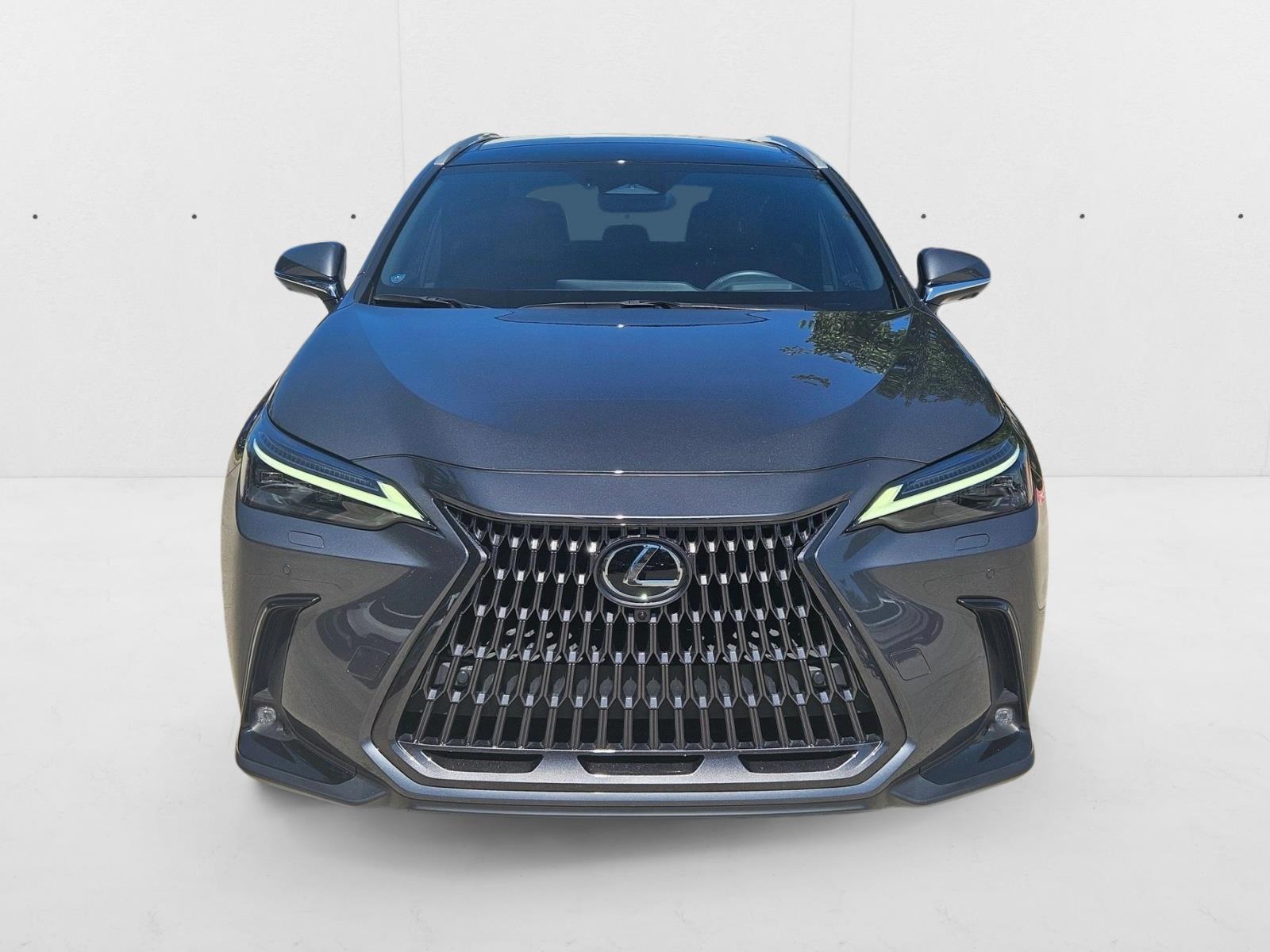 2023 Lexus NX 350 Luxury photo 2