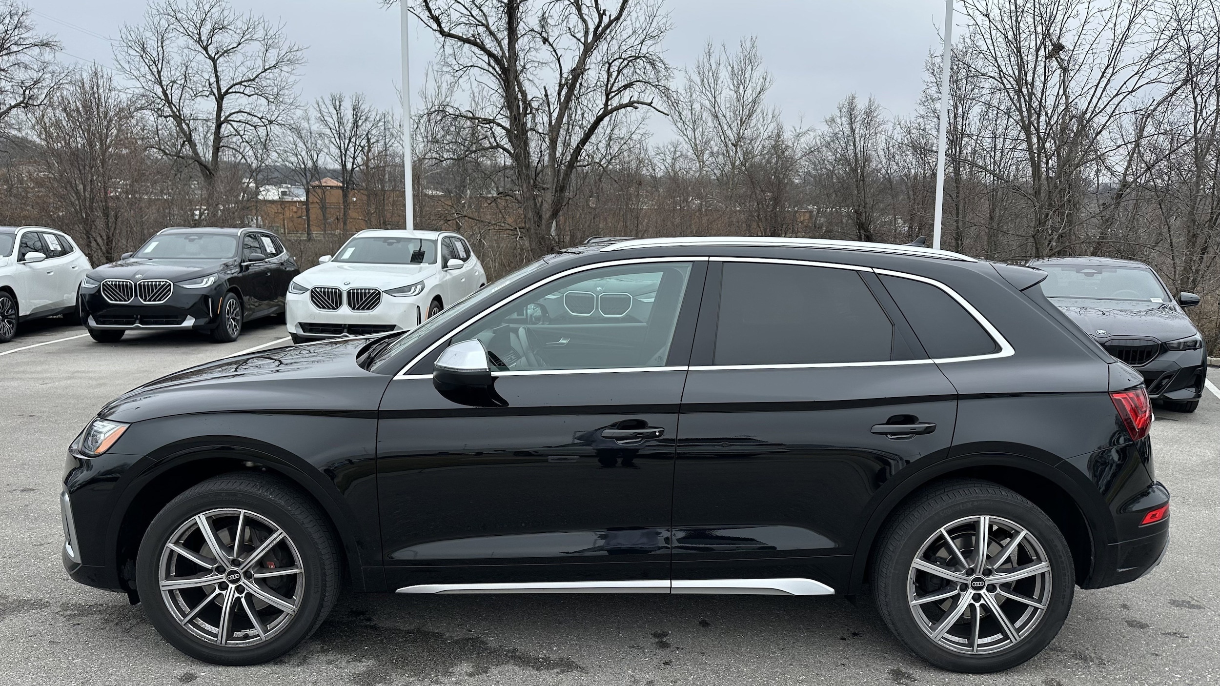 2023 Audi SQ5 Premium Plus photo 5