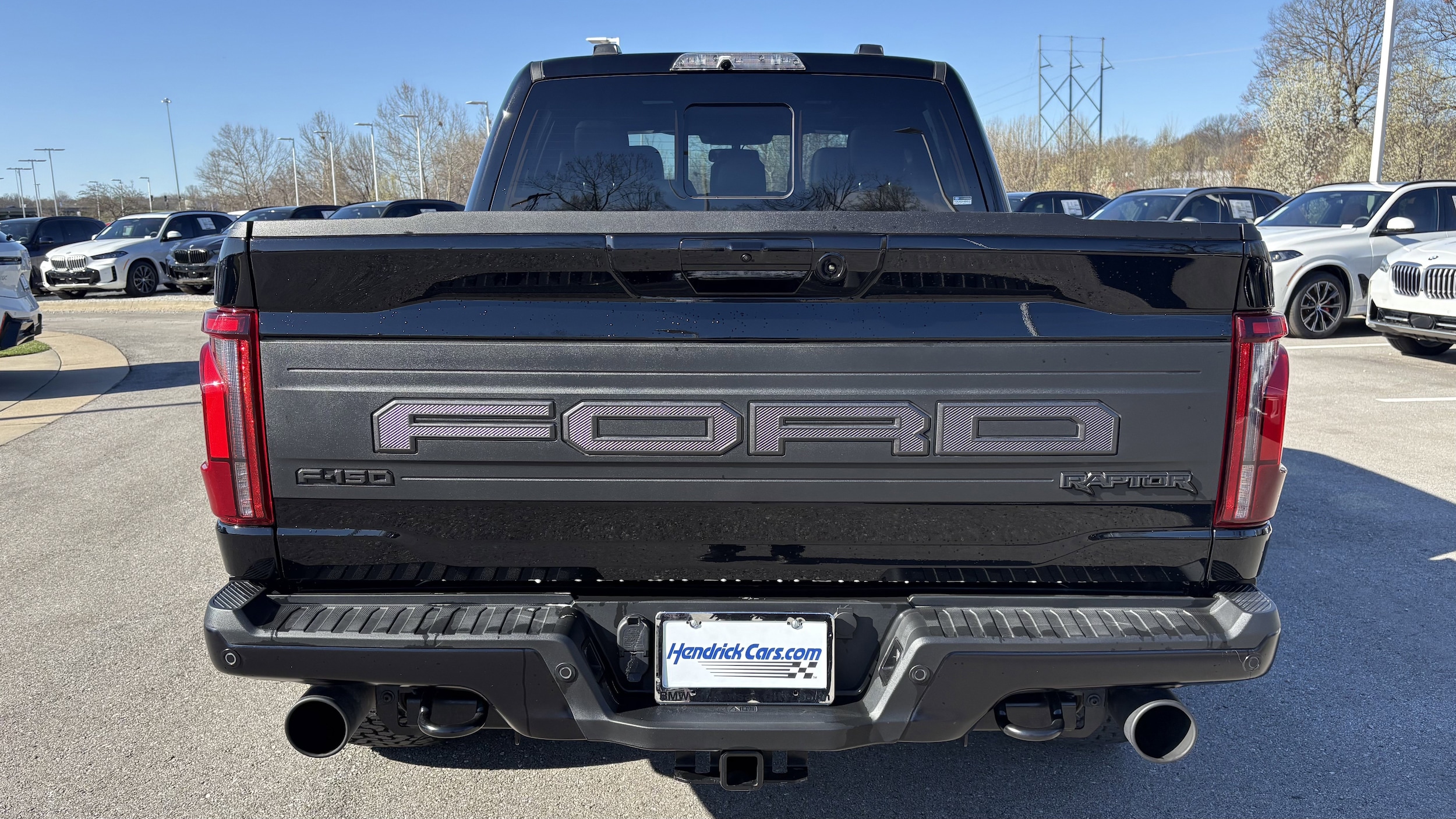 2025 Ford F-150 Raptor 4WD SuperCrew photo 3