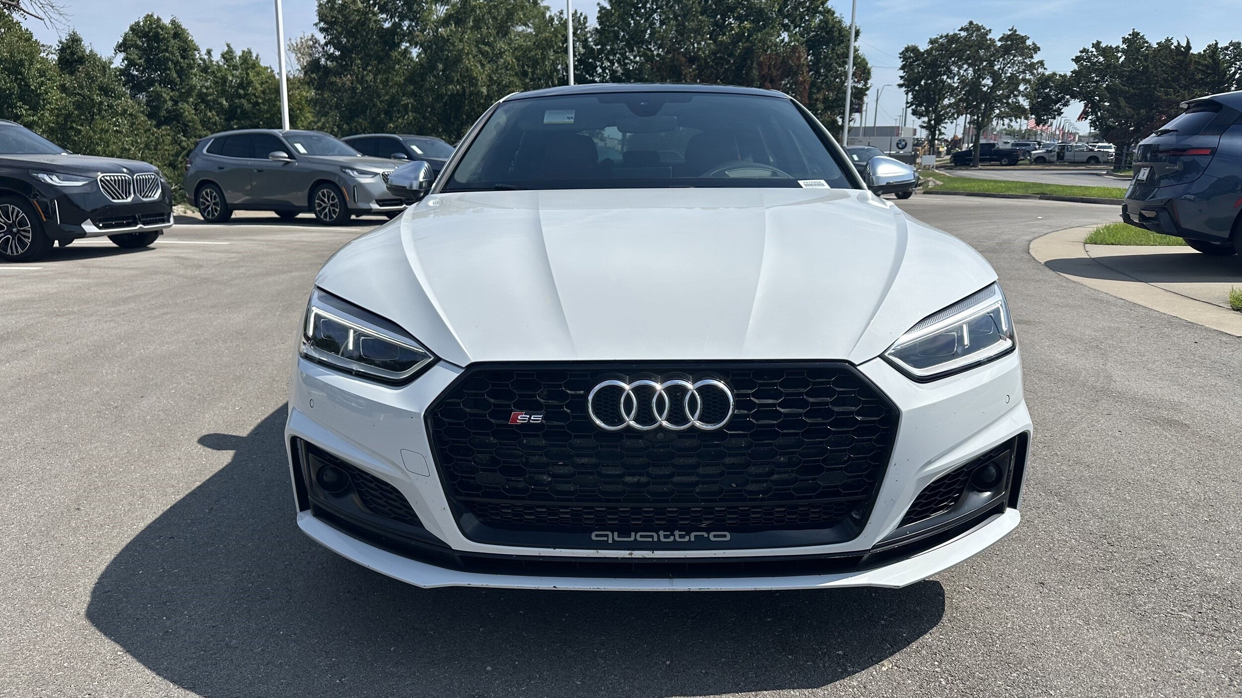 2019 Audi S5 Prestige photo 2