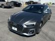 2023 Audi S5 Sportback Premium Plus Hatchback