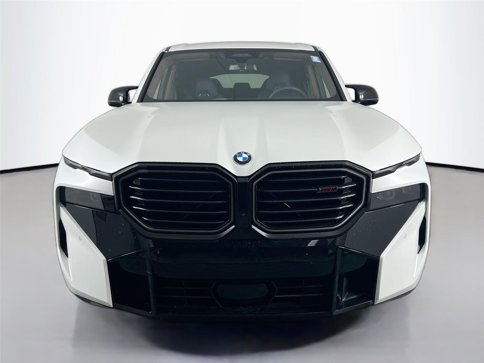 2026 BMW XM Base - Photo 9