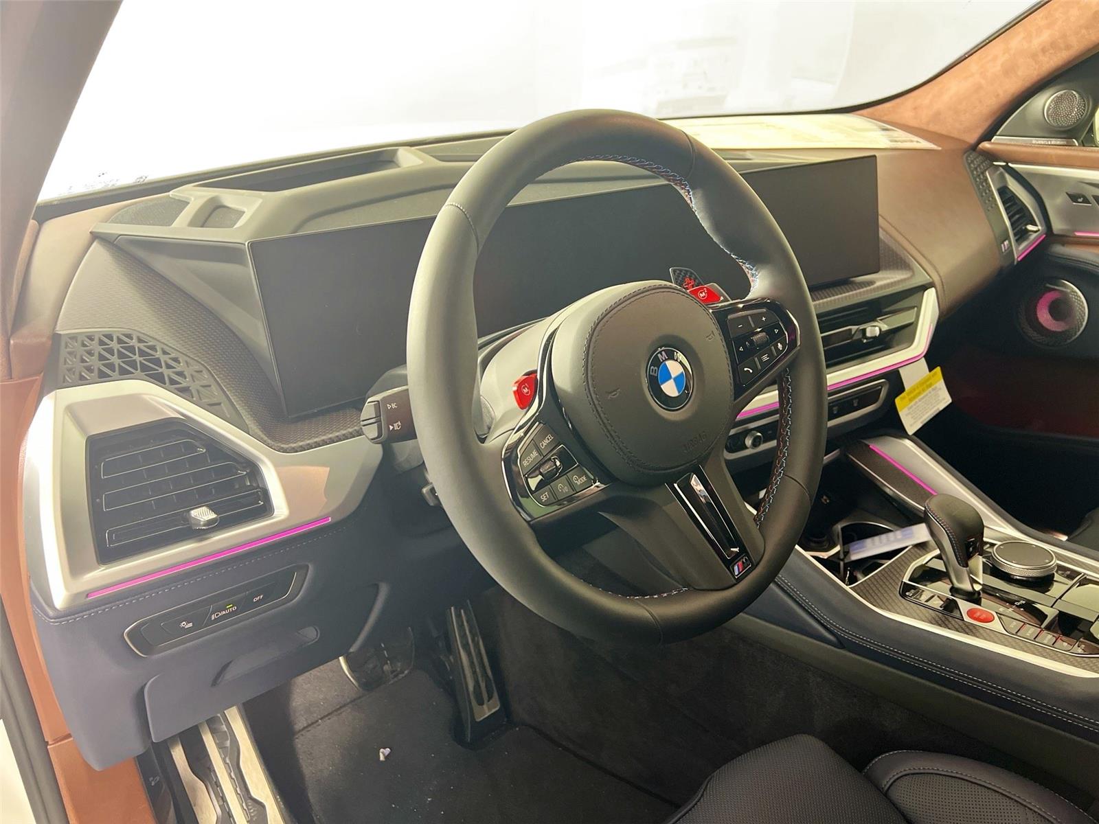 2026 BMW XM Base - Photo 10