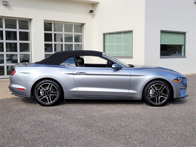 2022 Ford Mustang EcoBoost Premium photo 2