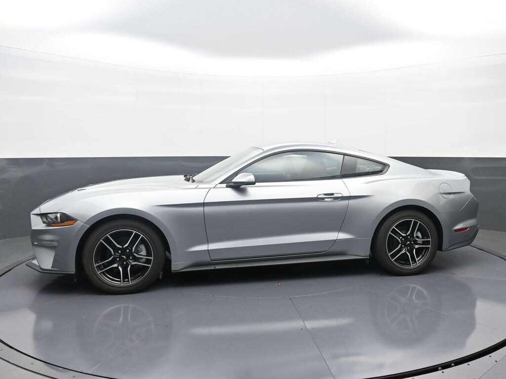 2023 Ford Mustang EcoBoost Premium photo 3