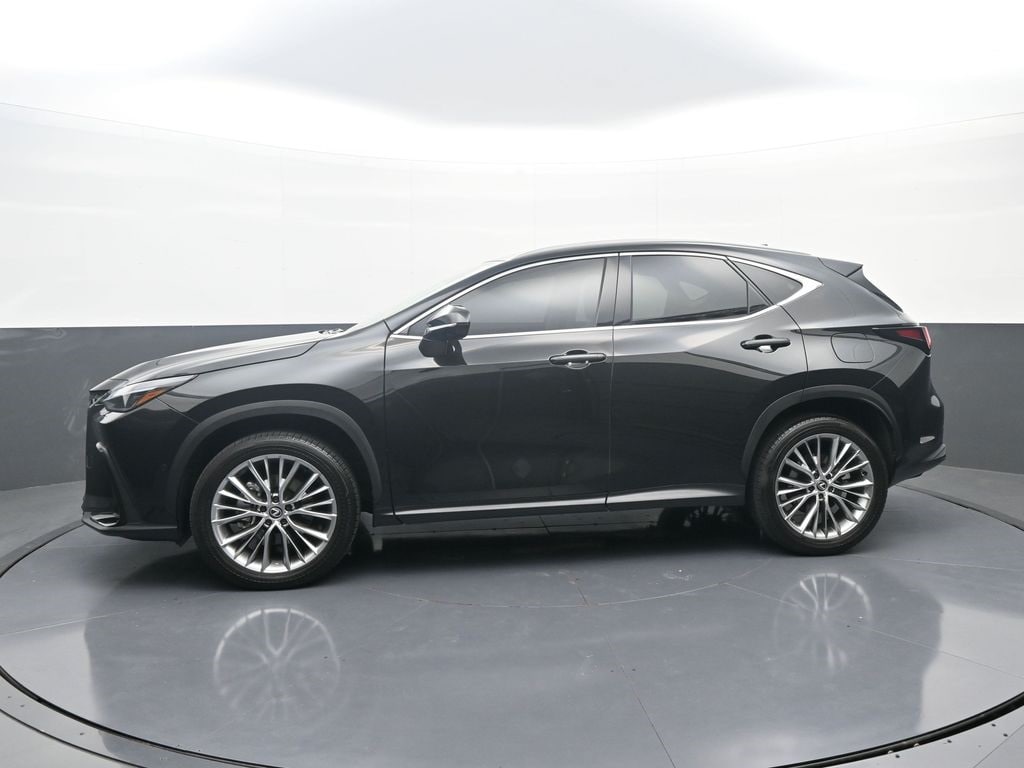 Used 2025 Lexus NX 350 Luxury SUV