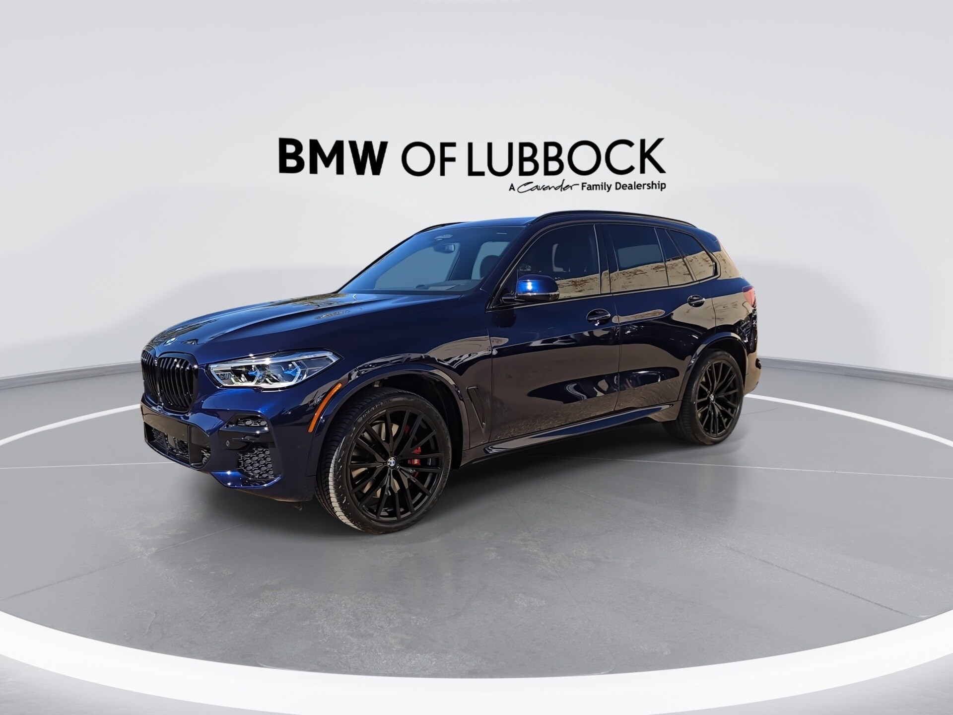 2023 Bmw X5 M50i photo 3