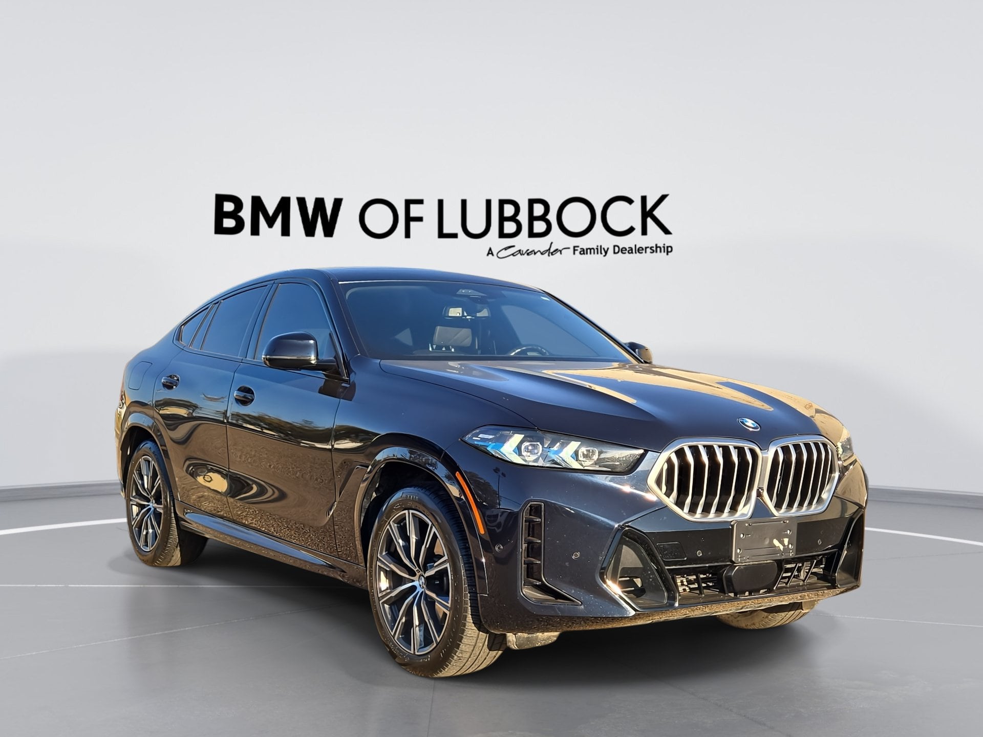 2025 BMW X6