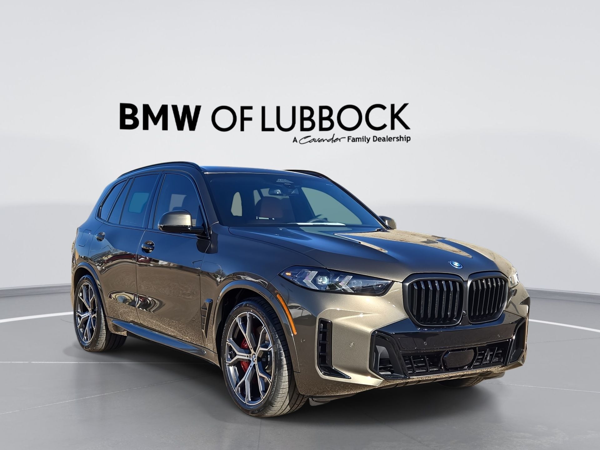 2026 BMW X5 xDrive50e's photo