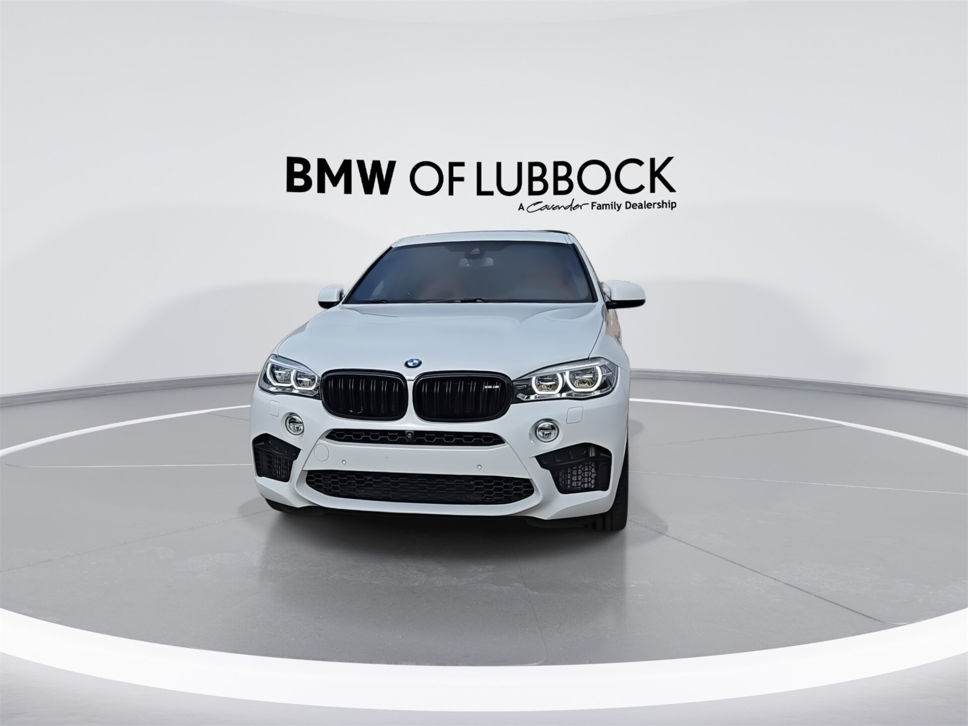 2017 Bmw X6 M photo 3
