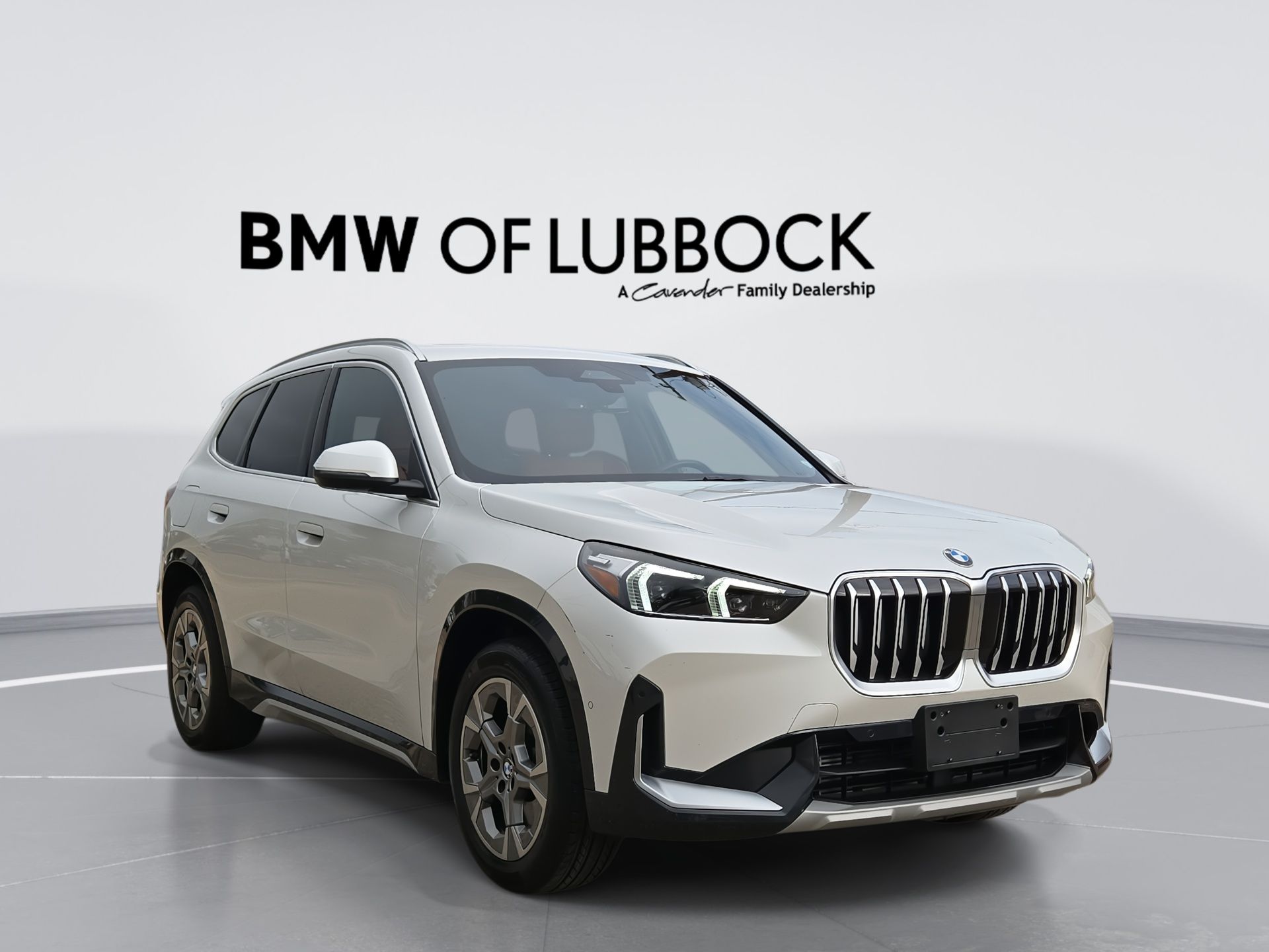 2025 BMW X1 xDrive28i's photo