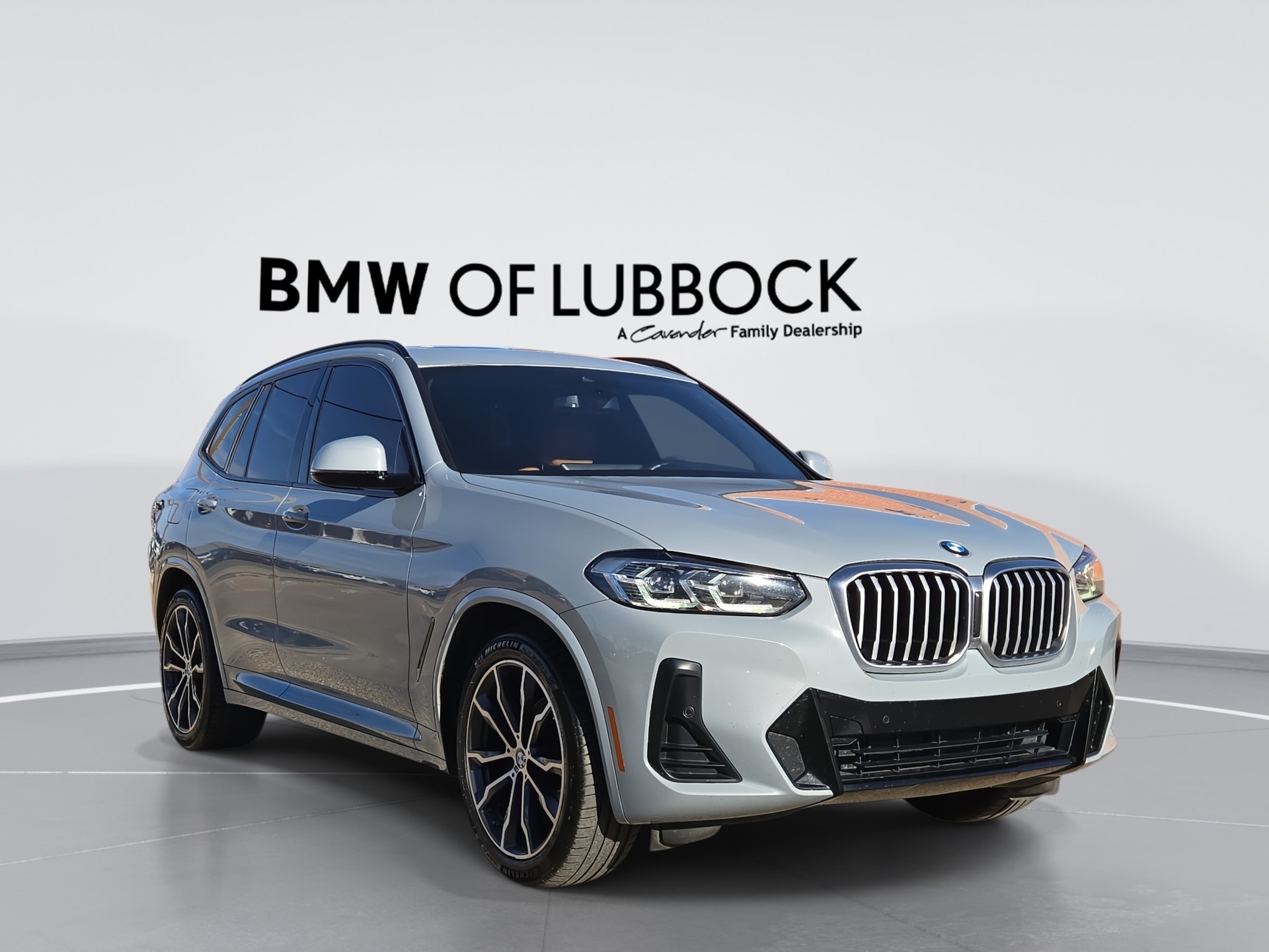 2022 BMW X3 30i's photo