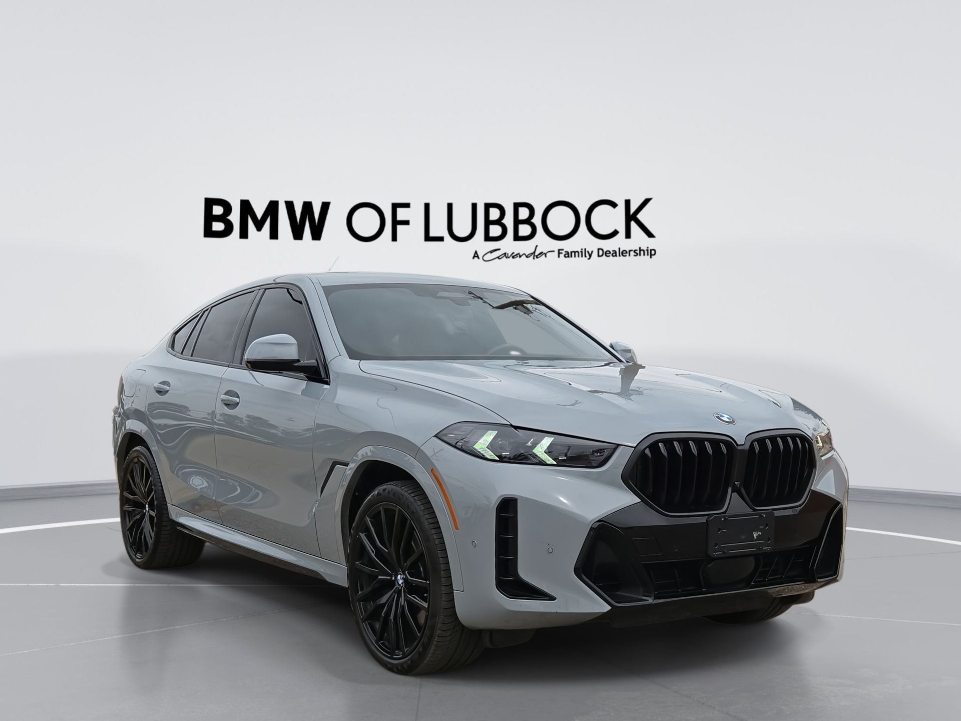 2024 BMW X6 xDrive40i's photo