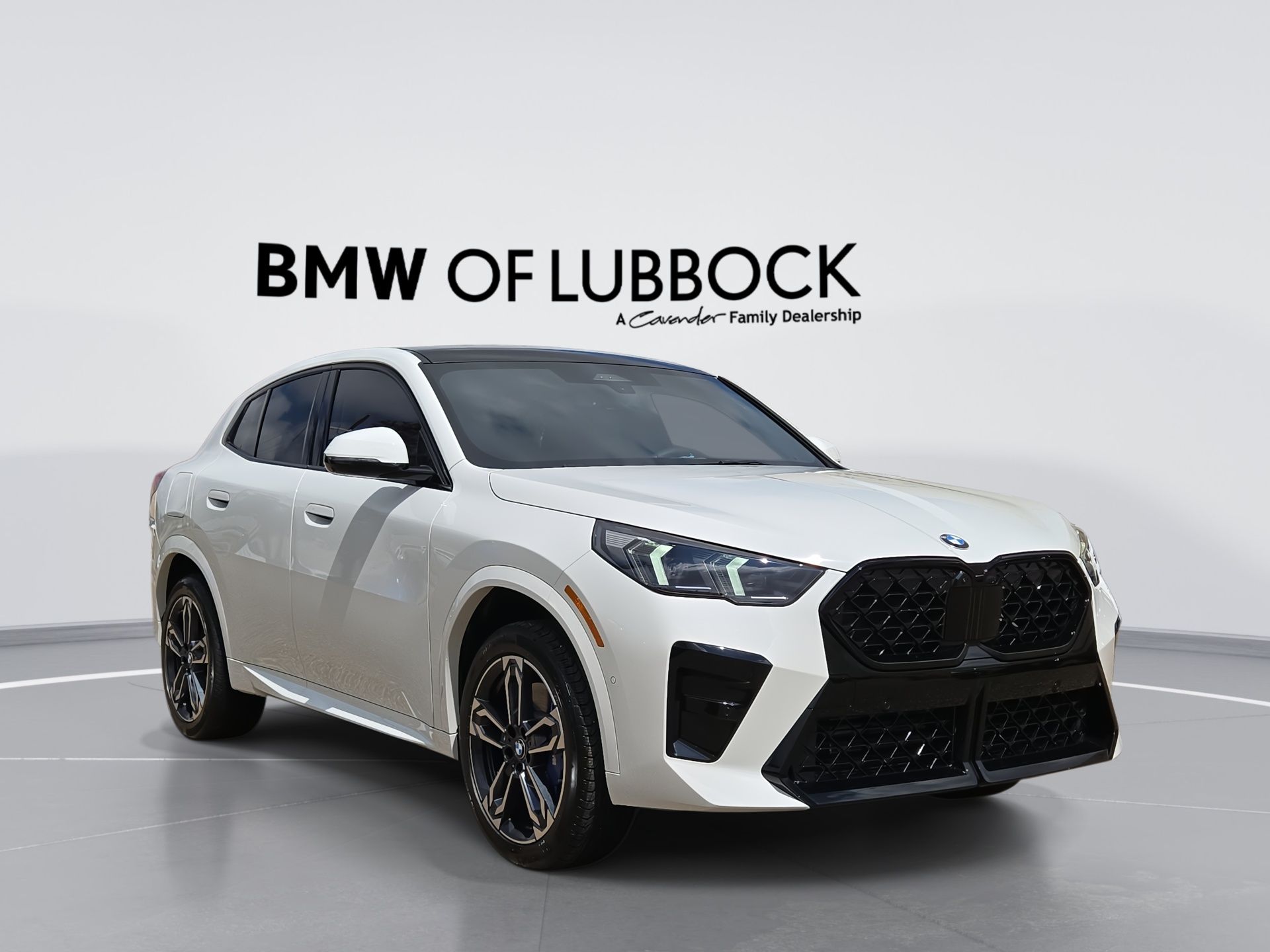2026 BMW X2 xDrive28i's photo