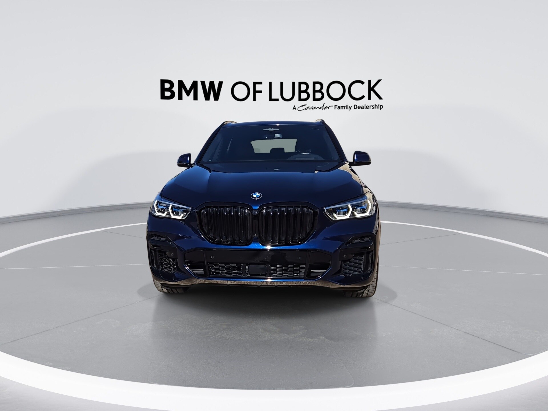 2023 Bmw X5 M50i photo 2