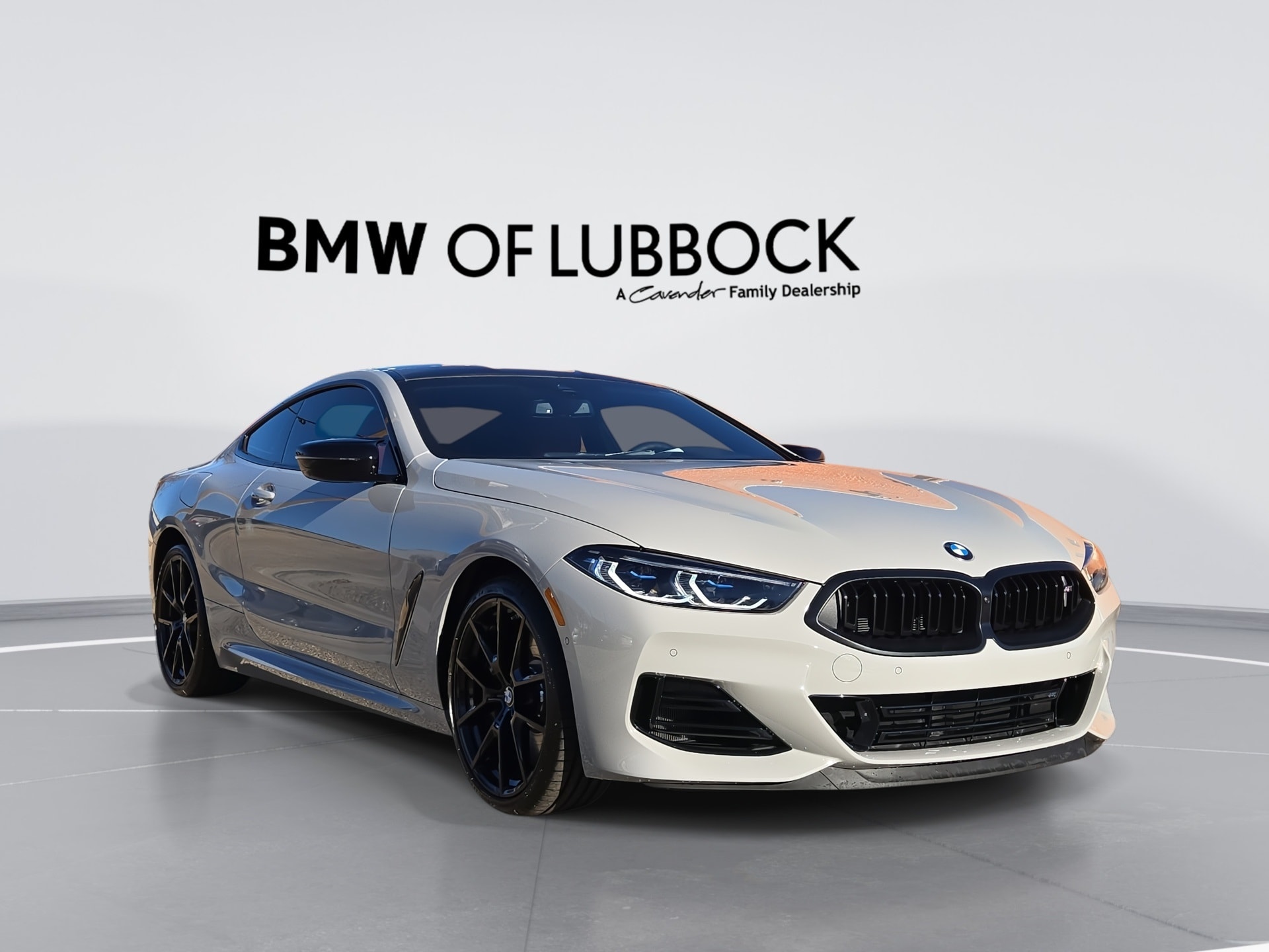 2026 BMW 8 Series M850i's photo