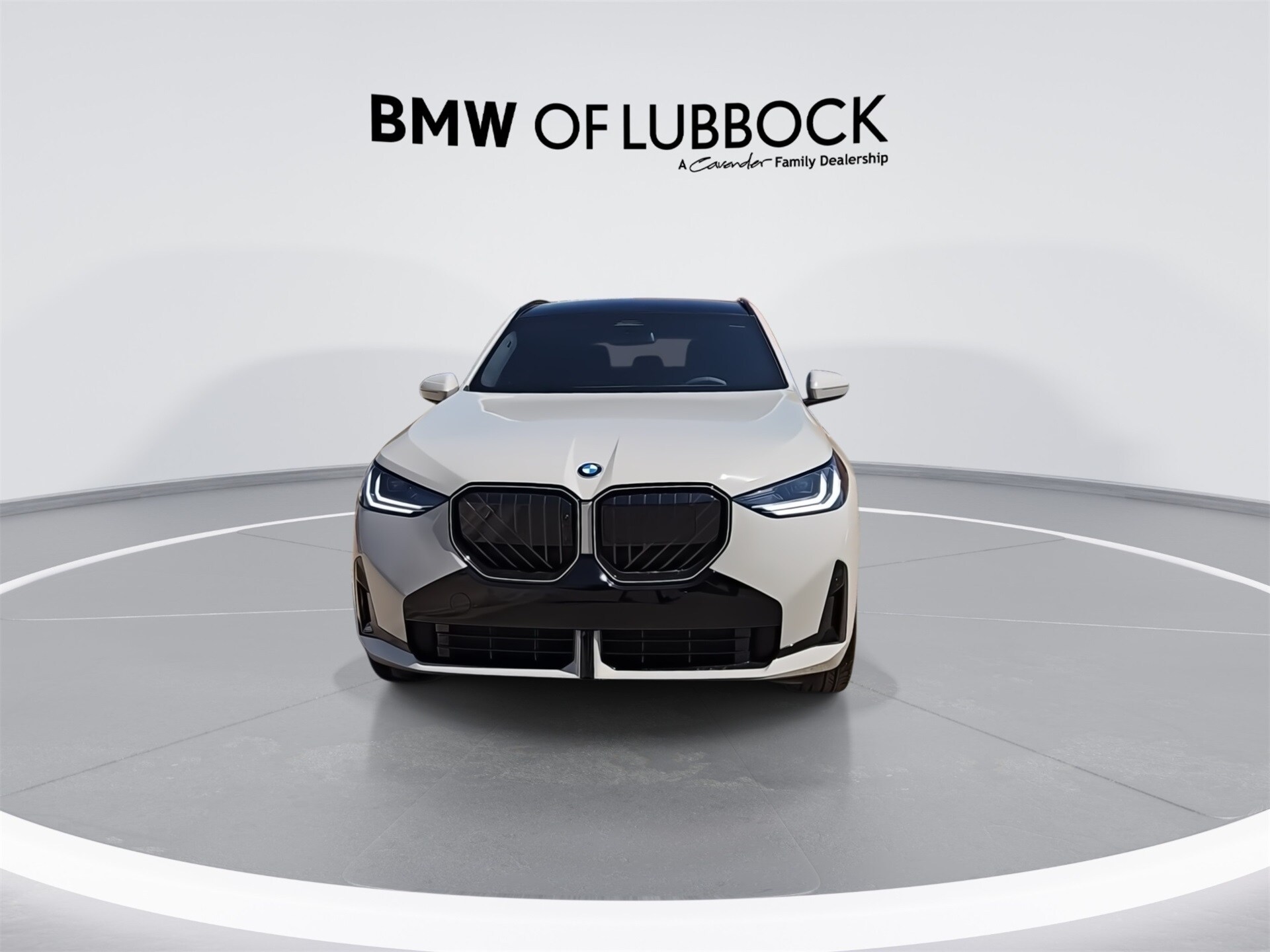 2025 Bmw X3 30x Drive photo 3