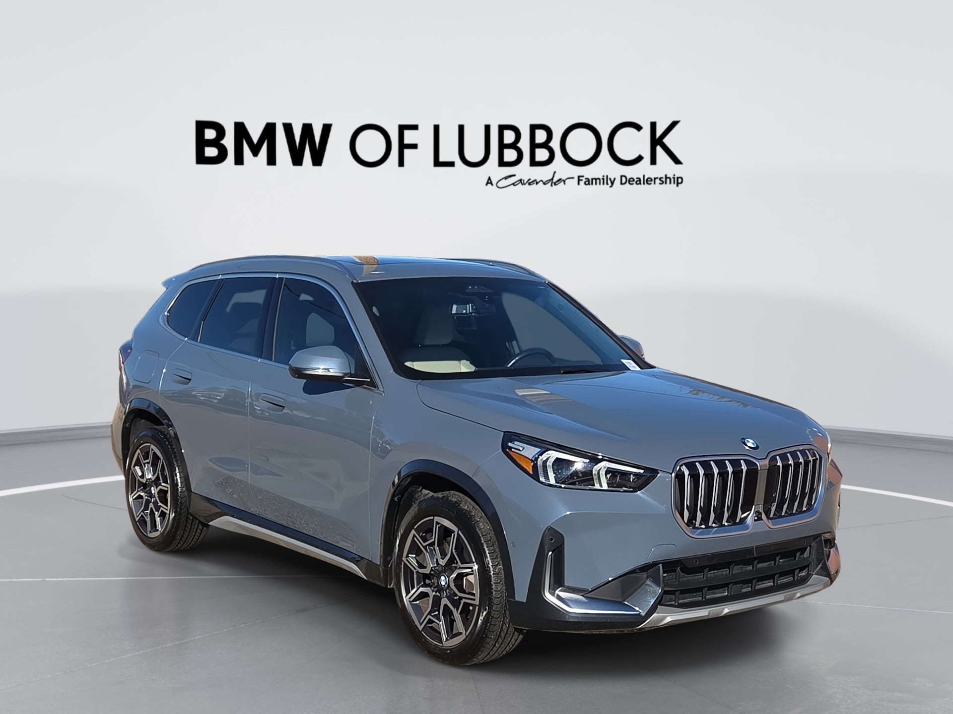 2025 BMW X1 28i's photo