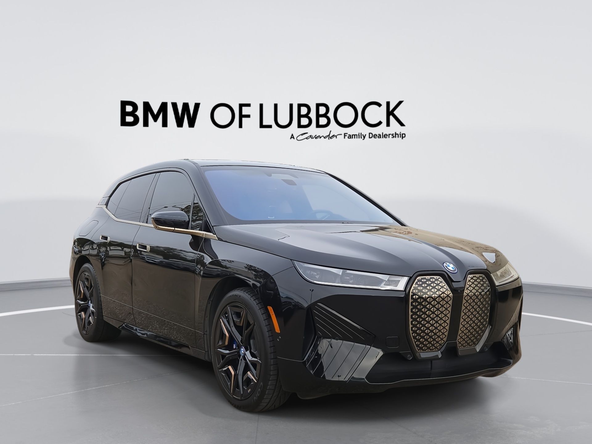 2023 BMW iX M60's photo
