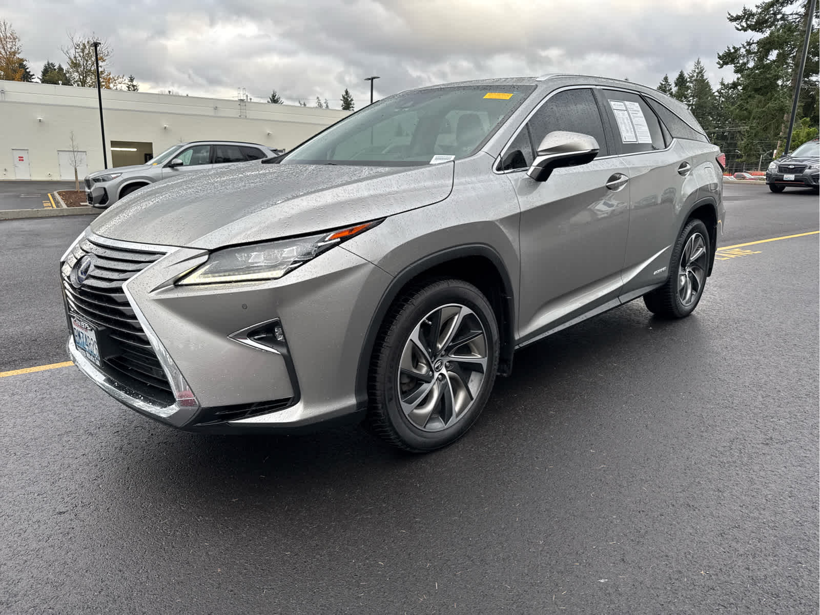 2019 Lexus RX 450hL Luxury photo 3