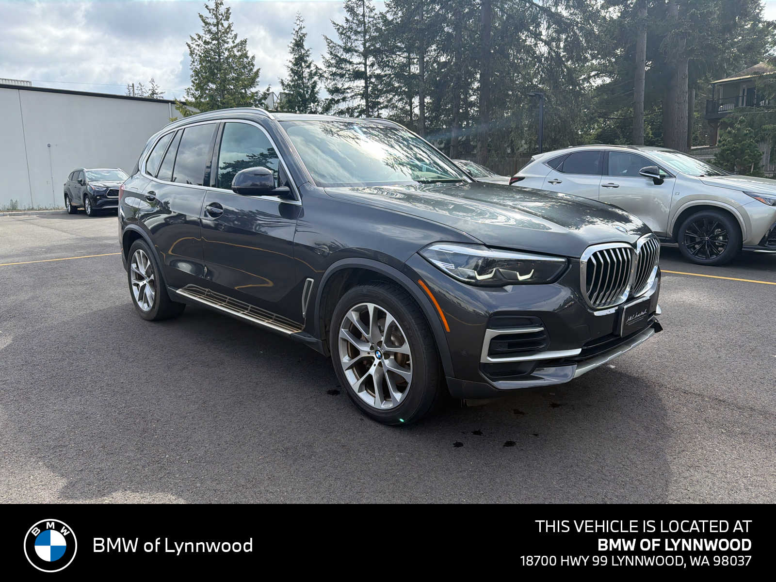2023 BMW X5