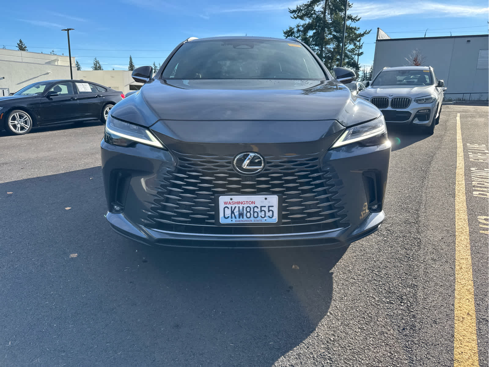 2024 Lexus RX 350 Luxury photo 2