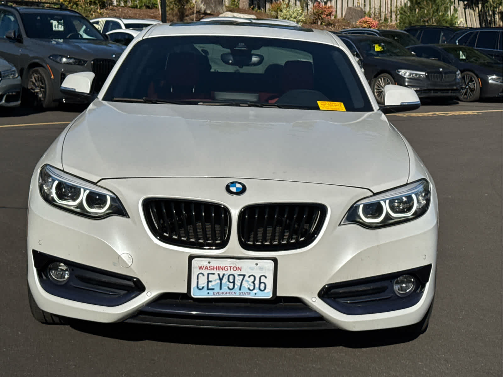 2020 Bmw 230i xDrive Coupe photo 2
