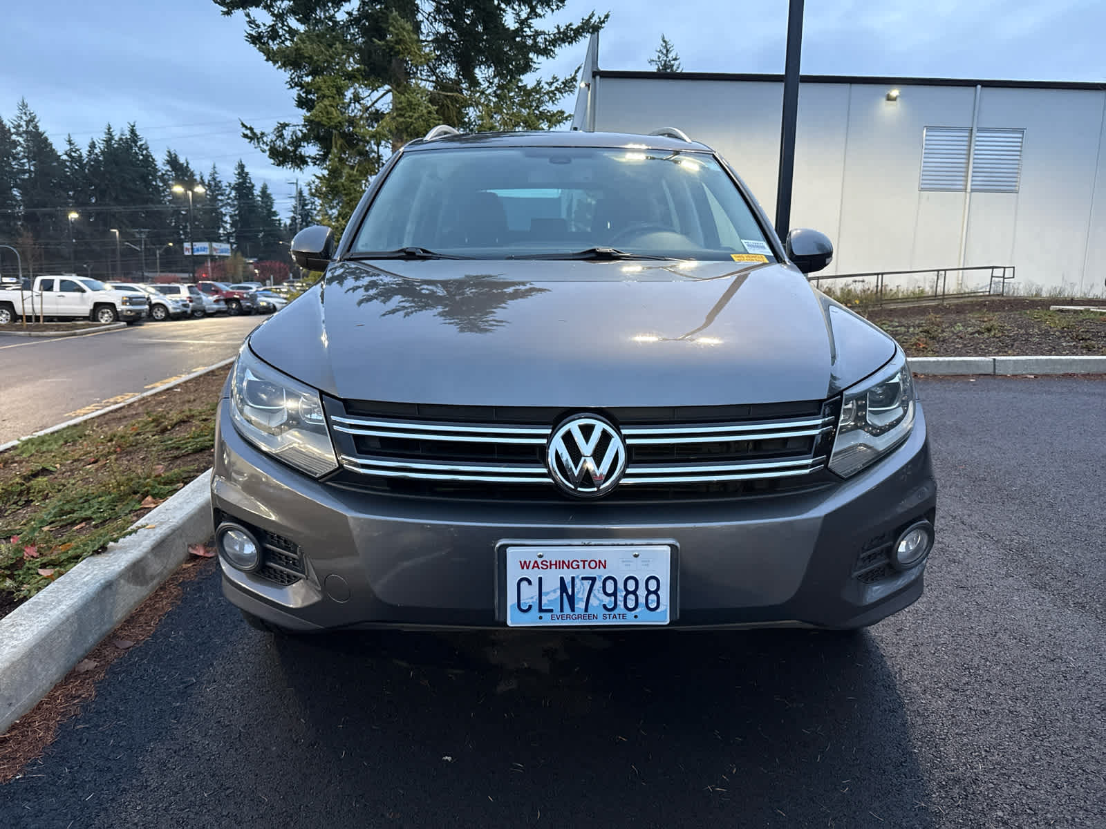 2013 Volkswagen Tiguan SE photo 2
