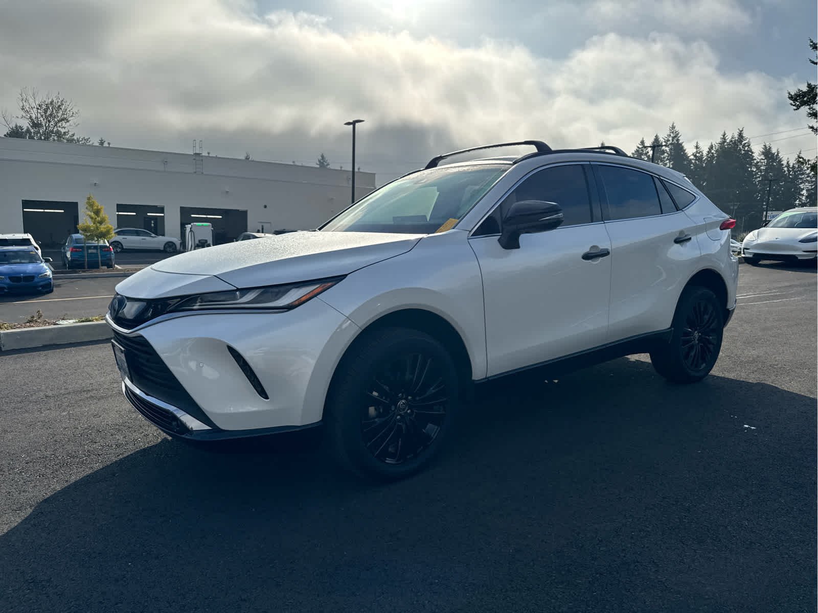 2024 Toyota Venza photo 3