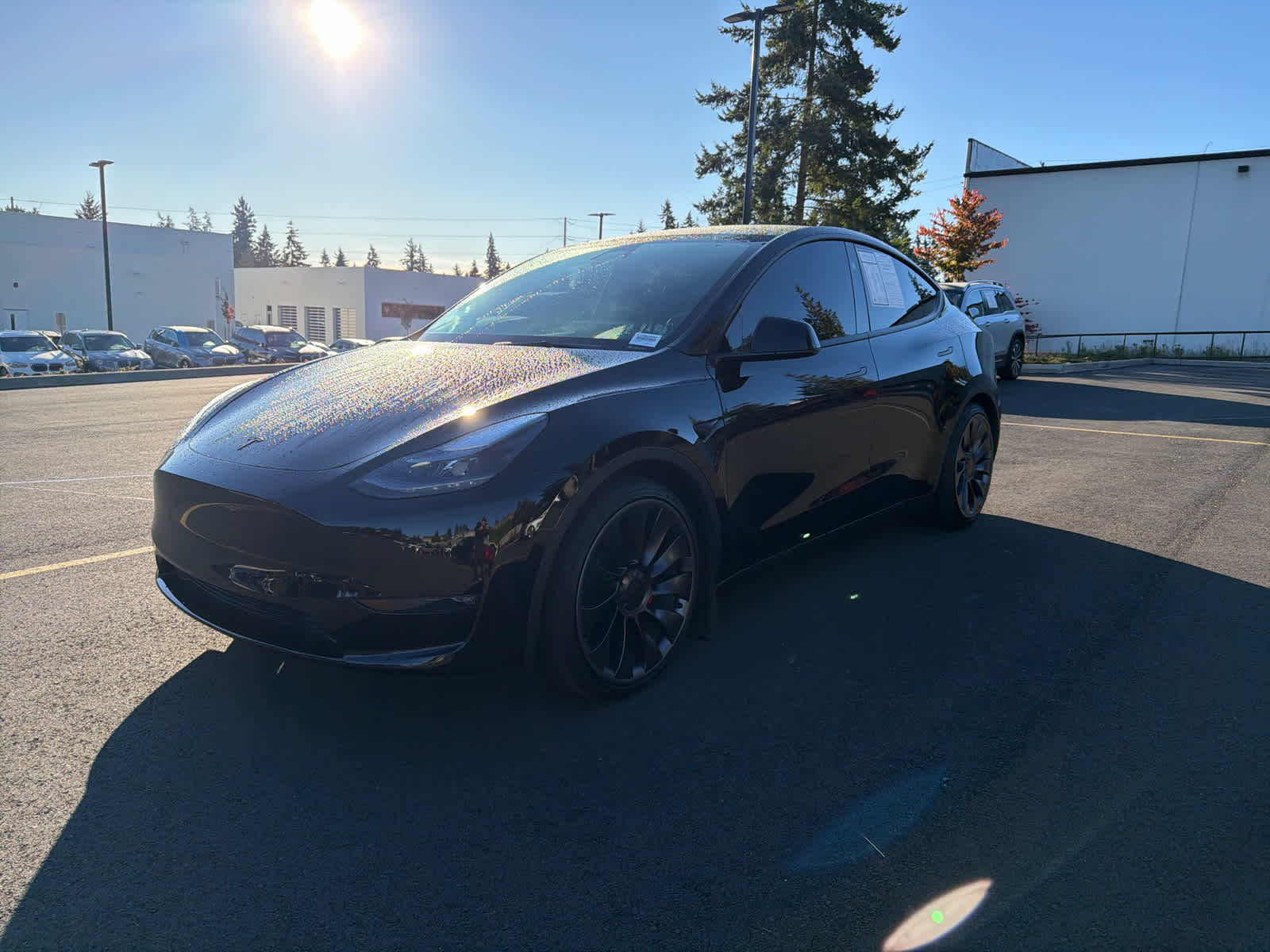 2024 Tesla Model Y Performance photo 2