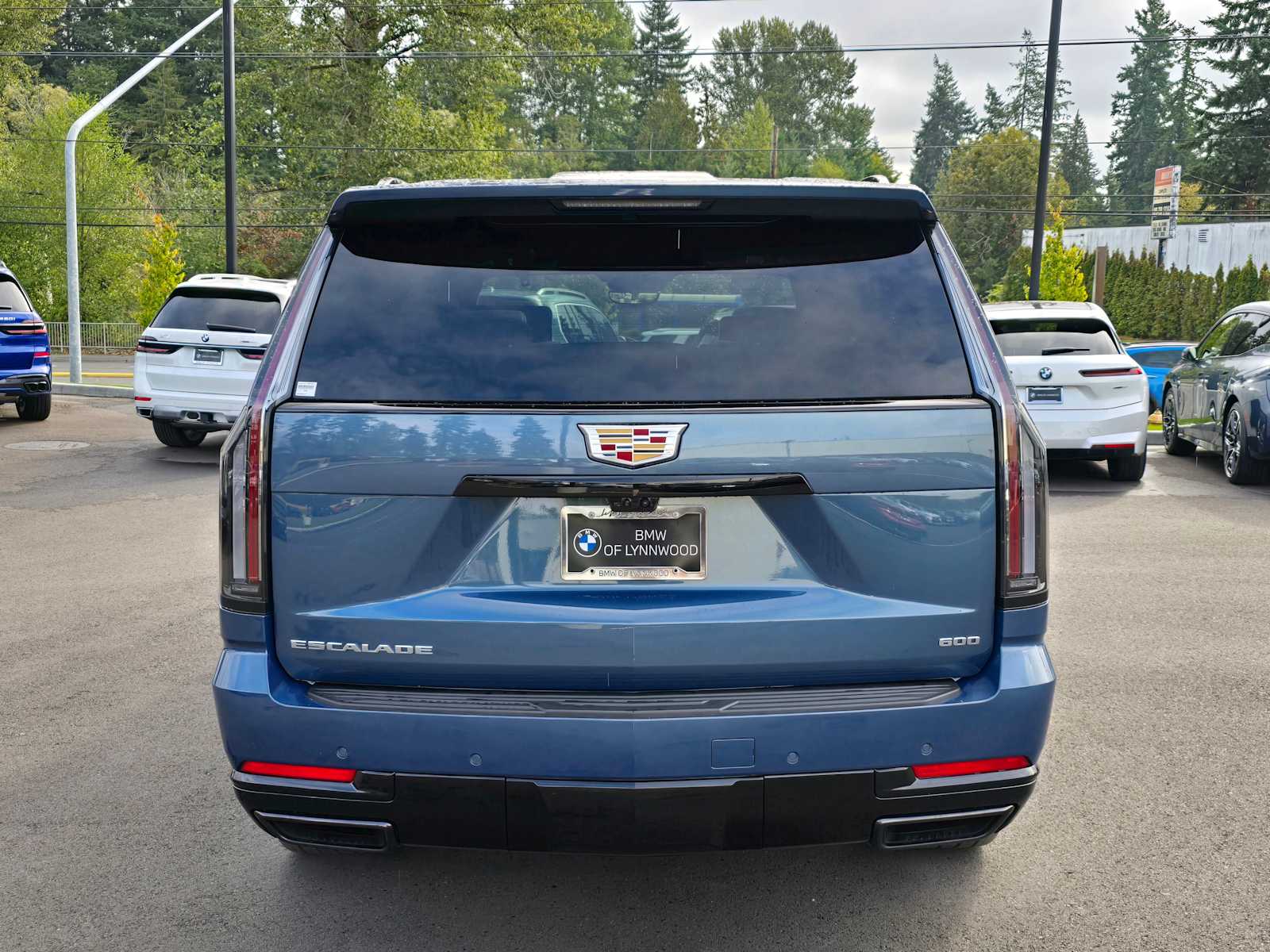 2025 Cadillac Escalade Sport Platinum photo 3